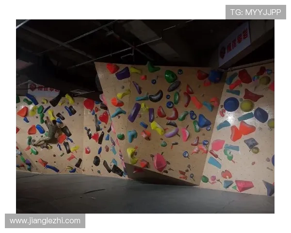 北京攀岩队耐力挑战揭秘:攀岩巨献带你领略极限运动的魅力与坚持 北京攀岩队耐力挑战揭秘:攀岩巨献带你领略极限运动的魅力与坚持