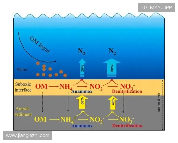 广州与武汉排球队赛后复盘分析比赛经验与战术调整的深度探讨 广州与武汉排球队赛后复盘分析比赛经验与战术调整的深度探讨