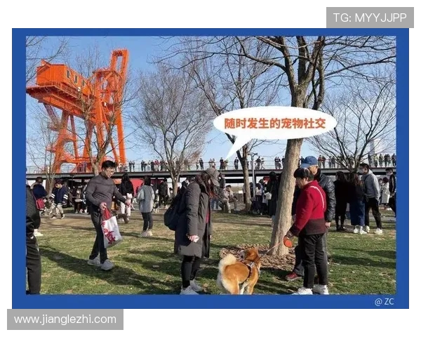 广州滑板队运营模式创新探索与发展路径分析