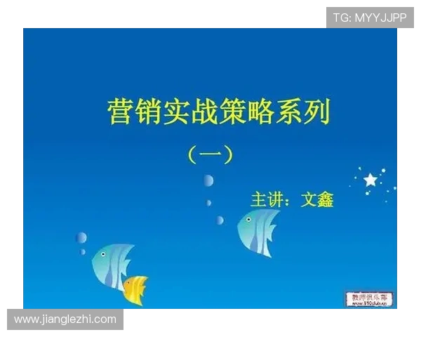 南京排球队的团队协作策略与实战表现深度分析与探讨