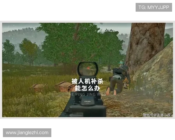 和平精英评论：WE战队防守反击策略的优劣分析与启示